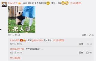 番号网图片,探寻视觉艺术与数字文化的交融之美